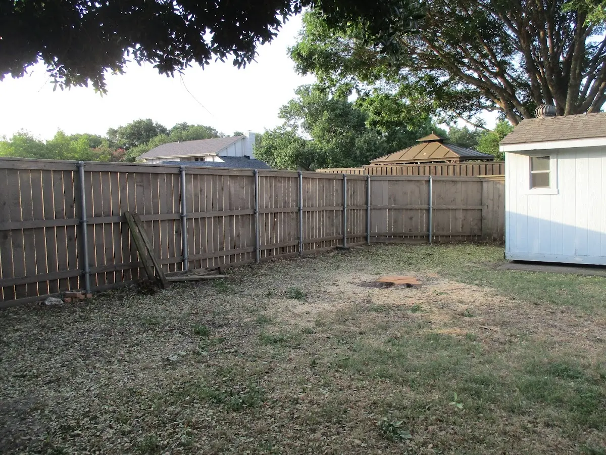 Cleared yard after professional tree removal in Dolliver